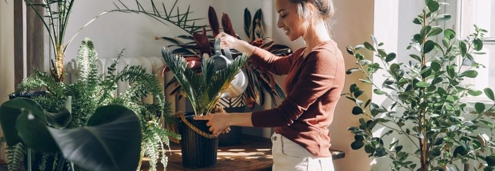 Frau steht in einem Raum voller Pflanzen und gießt diese
